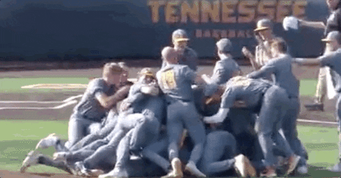 Super Regional Baseball GIF by NCAA Championships