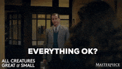 Whats Wrong Everything Ok GIF by MASTERPIECE | PBS