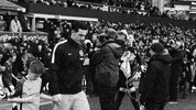 Soccer Futbol GIF by Brighton & Hove Albion Football Club