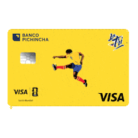Ecuador Visa Sticker by Banco Pichincha