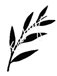 Friday Morning Sticker