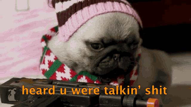 pug GIF
