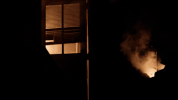star on fox fire GIF by STAR