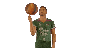 Liga Endesa Basketball Sticker by ACB