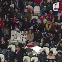 Womens6Nations fan fans womens six nations GIF