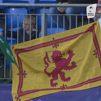 Womens6Nations fan fans womens six nations GIF