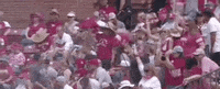Celebration Texas GIF by NCAA Championships