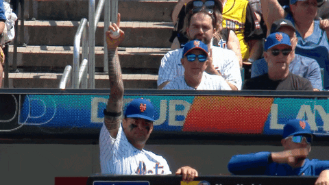 Baseball Mlb GIF by New York Mets