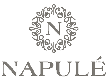 Napule giphyupload pizza schweiz zurich Sticker