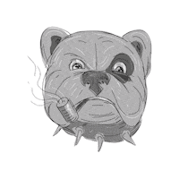 bulldog_club dog bravo cachorro bulldog Sticker