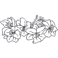 Flowers Flores Sticker by Bona Eva