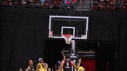James Harden Sport GIF by WNBA
