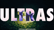Shamrock Rovers Ultras GIF