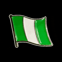 Flag Africa GIF by Pinned Pins