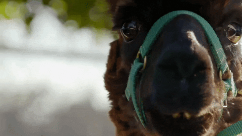 king keraun selfie GIF by Fuse