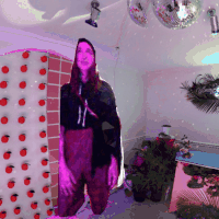 haunting miami beach GIF