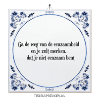 Nl Wijsheid Sticker by Tegelspreuken.nl