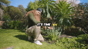 Red Beard Spring Sale GIF by THE BEARD STRUGGLE
