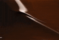5 Star Chocolate GIF