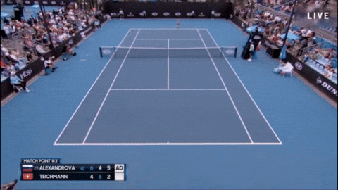 Ekaterina Alexandrova Tennis GIF