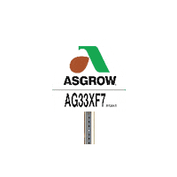 Bayer Soybeans Sticker by DEKALB Asgrow Deltapine