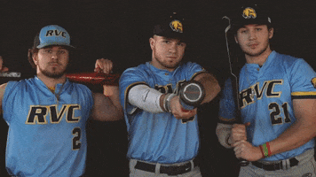 Rvc Baseball GIF by Rock Valley College
