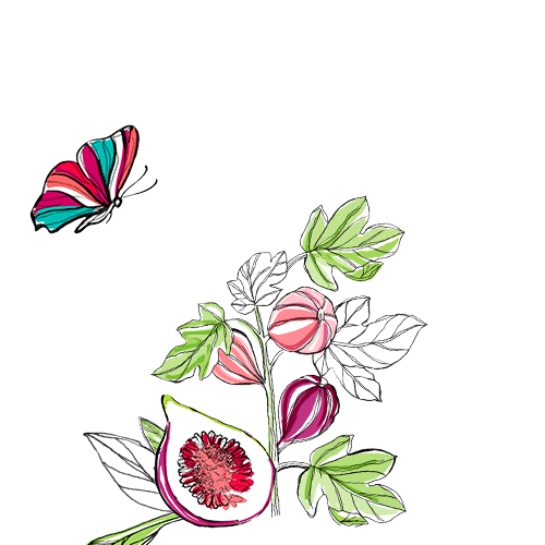 summer sun Sticker by Roger&Gallet