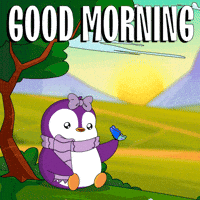 Good Morning Sun GIF by Pudgy Penguins