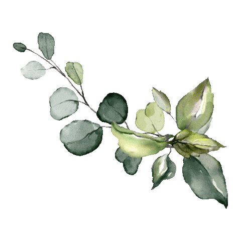 SpiritusNaturae giphyupload bebe feuille carte étape Sticker