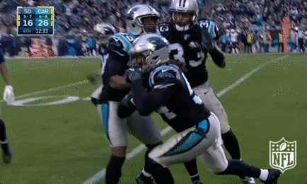 excited carolina panthers GIF by NFL