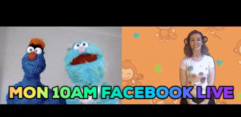 eleanorclapham giphygifmaker giphyattribution GIF