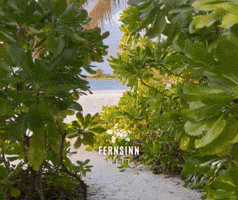 Fernweh GIF by Fernsinn Welt - ReiseBeratung Anja Horn