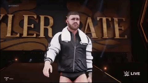 wwe 2k19 GIF