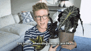 tyleroakley youtube youtuber tyler oakley tyleroakley GIF