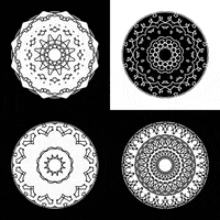 Black And White Loop GIF by xponentialdesign