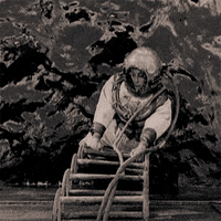 buster keaton GIF by Maudit