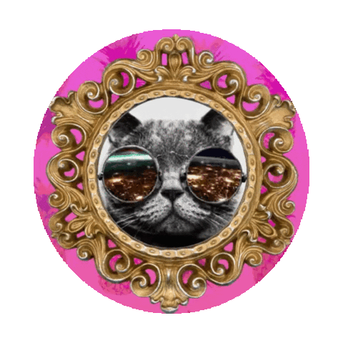 cat Sticker