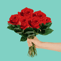 Pizza Flowers GIF by Miguel Andrade