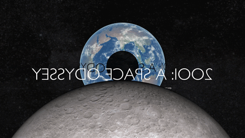 2001: a space odyssey need area shadow GIF by hateplow