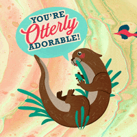 SquatchandSiren fish florida otter squatchandsiren GIF