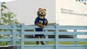 fiu panthers GIF by FIU