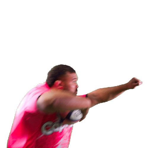 France Rugby Sticker by Stade Français Paris