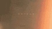sub pop witch GIF by Sub Pop Records