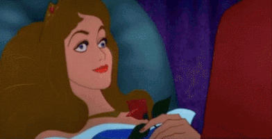 Sleeping Beauty Wtf GIF