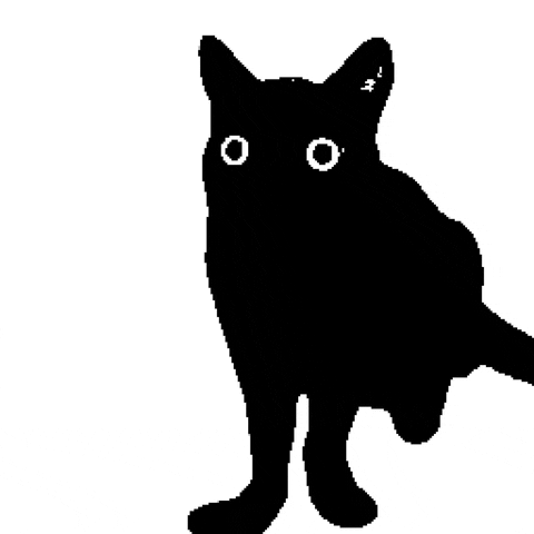 srodan giphyupload art cat animation GIF