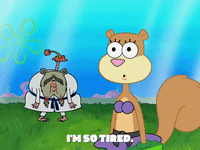season 8 bubble troubles GIF by SpongeBob SquarePants