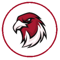 Nfl New Post Sticker by atlantafalconsgermany
