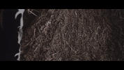fashion moda GIF by CATTURA Production