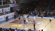 Assist Womens Basketball GIF by BasketballAustralia