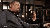 Nbc Investigate GIF by SVU